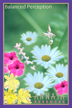 Annasa Flower Card