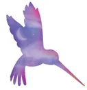 hummingbird_sq