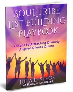 cover of Soul Tribe List Building Playbook