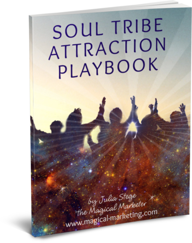 Soul Tribe Attraction Playbook Cover 3d