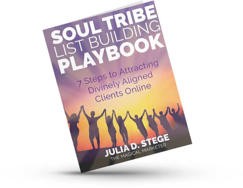 Soul Tribe Attraction Playbook Cover 3d